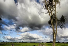 开云体育在线-红军折戟！利物浦三线崩盘，英超争冠格局一夜剧变