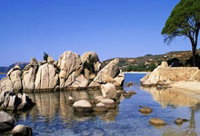 开云体育在线-澳大利亚网球队完胜意大利网球队，阿尔卡拉斯爆发神勇