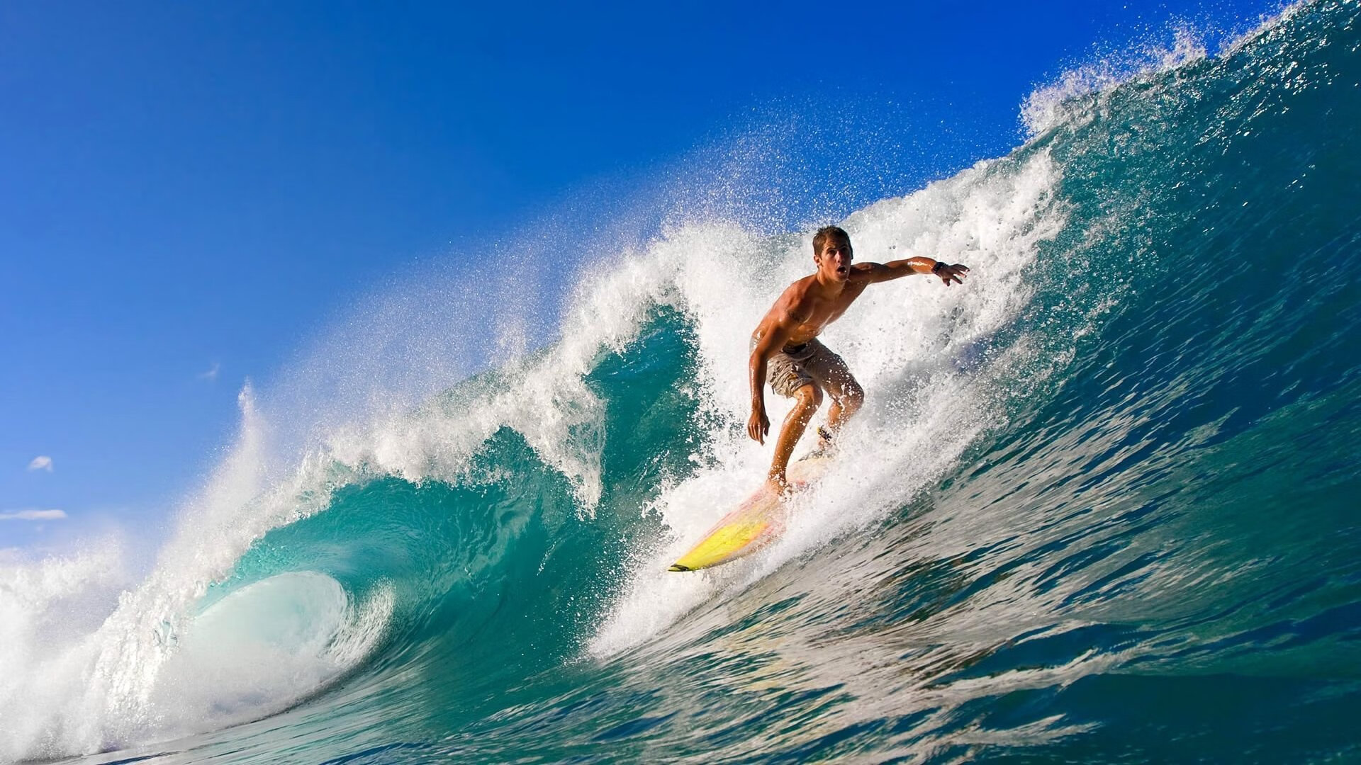 从吉林绝杀辽宁到塔图姆的团队哲学，唯一性胜利背后的集体节奏