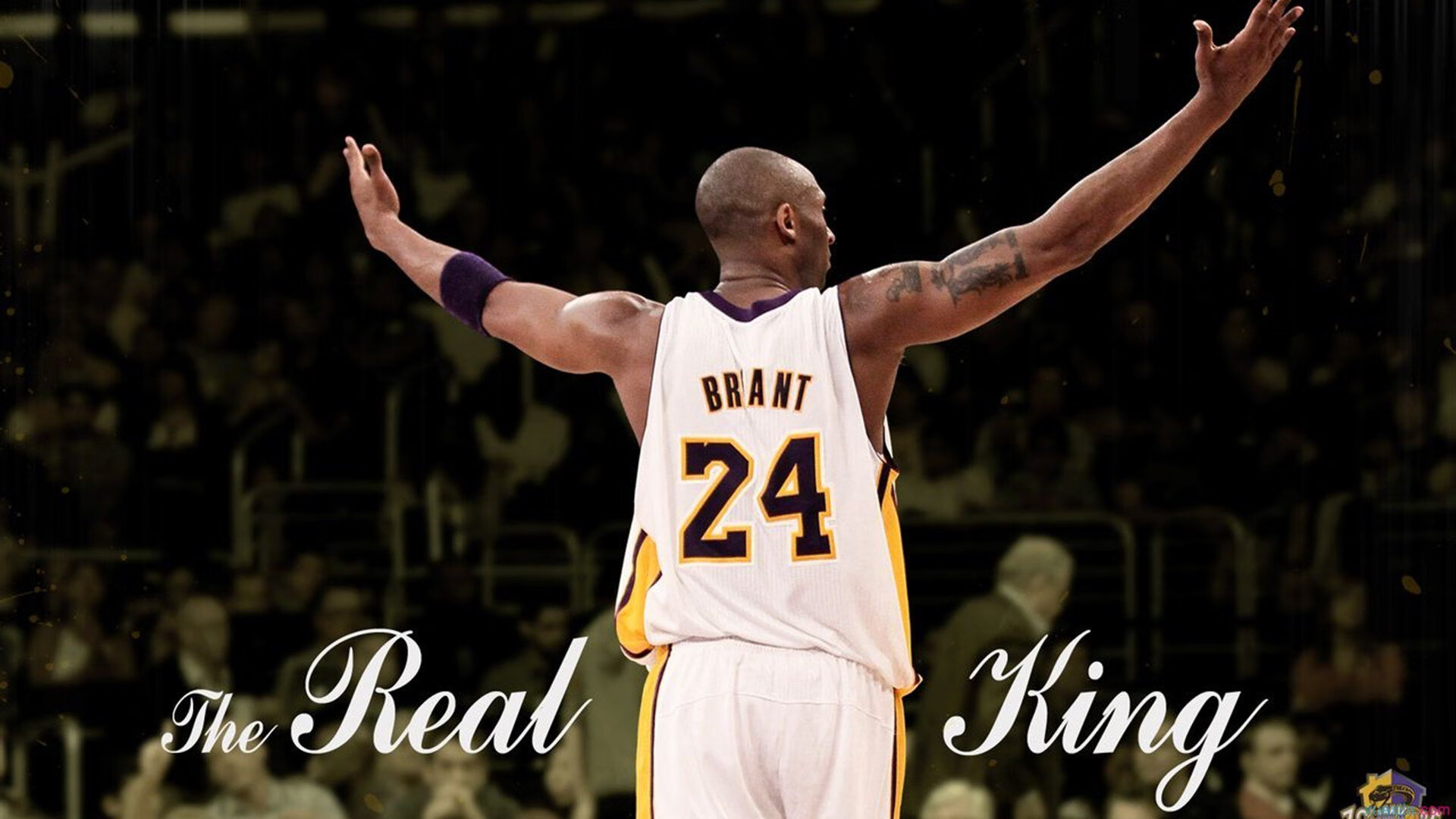 开云体育平台APP-乔治化身关键先生，黄蜂绝境逆袭淘汰爵士